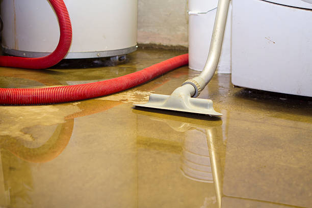 Best Water damage restoration process  in Whitehouse, TX