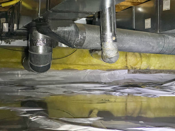 Best Carpet water damage restoration  in Whitehouse, TX