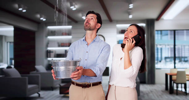 Best Water damage cleanup near me  in Whitehouse, TX